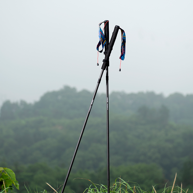 2pcs AONIJIE New Folding Outdo - đánh giá và giá Trekking Pole Carbon